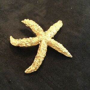 Van S Authentic gold colored star fish